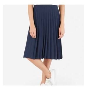 EVERLANE The Pleated Skirt A-Line Navy Blue Size 00